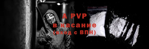 хмурый Корсаков