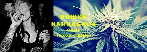 хмурый Корсаков