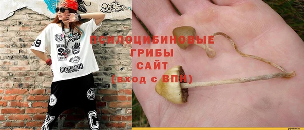 хмурый Корсаков