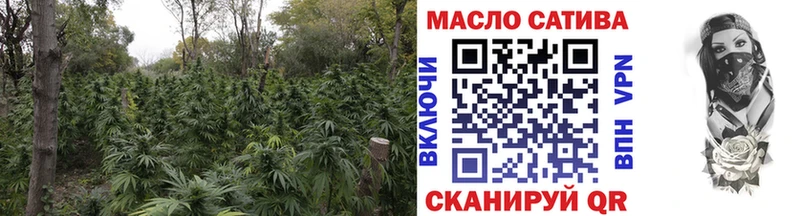 ТГК концентрат  Купить закладки  Заинск 
